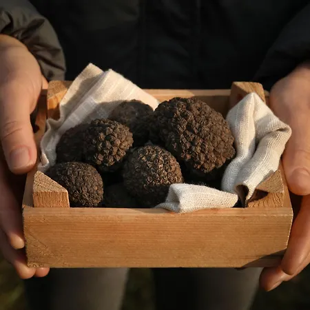 Solaria By Interhome 别墅 Livade