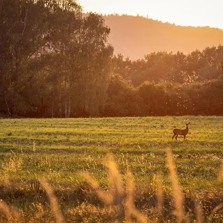 Solaria By Interhome Villa