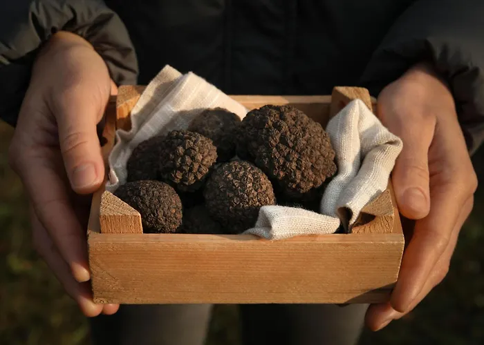 Solaria By Interhome ヴィラ リヴァデ