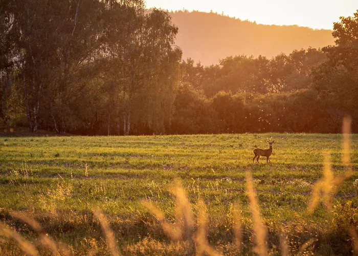 Solaria By Interhome ヴィラ